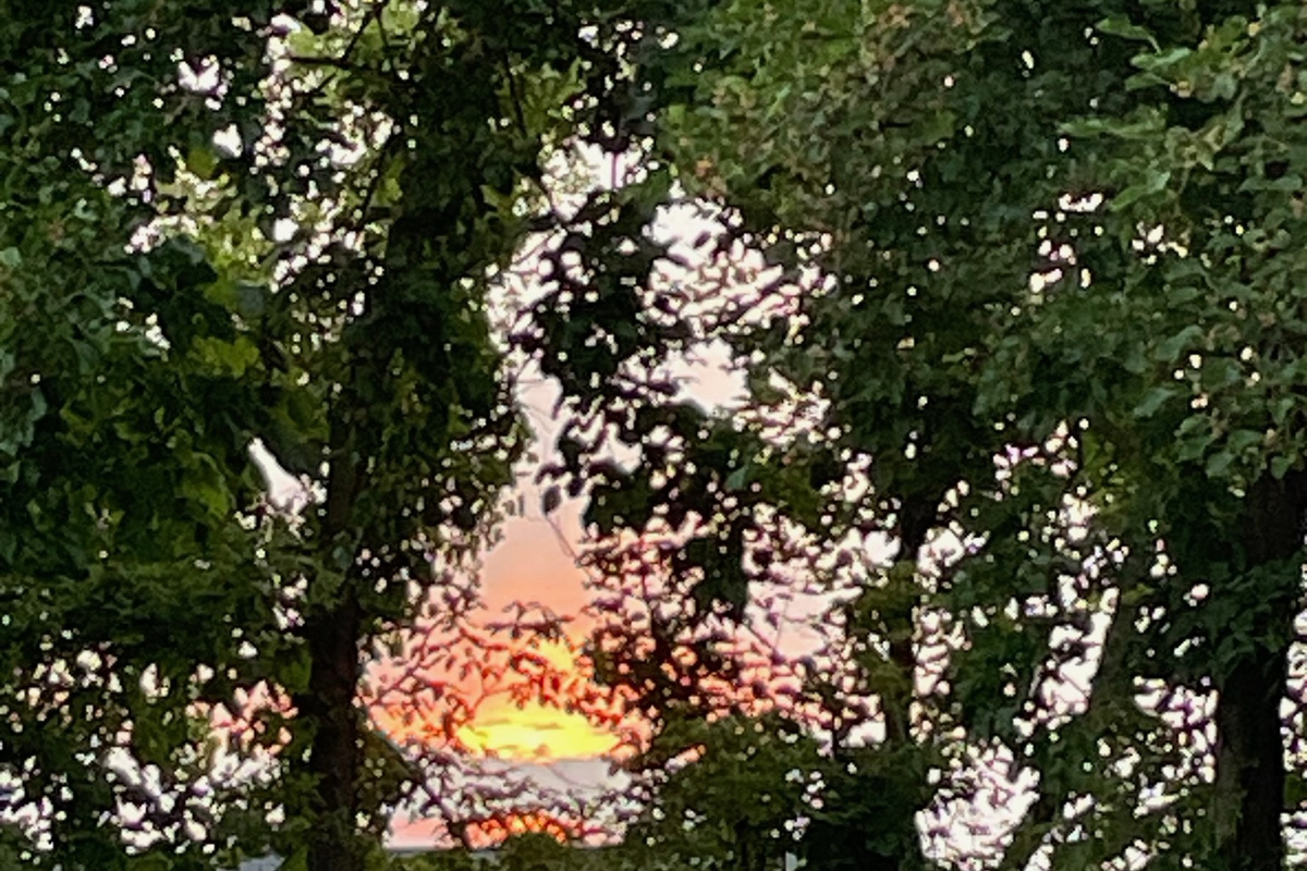 Warm evening colors above the backyard.