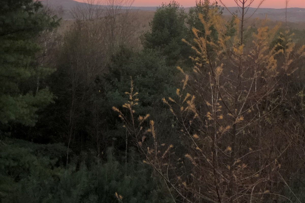 View from balcony