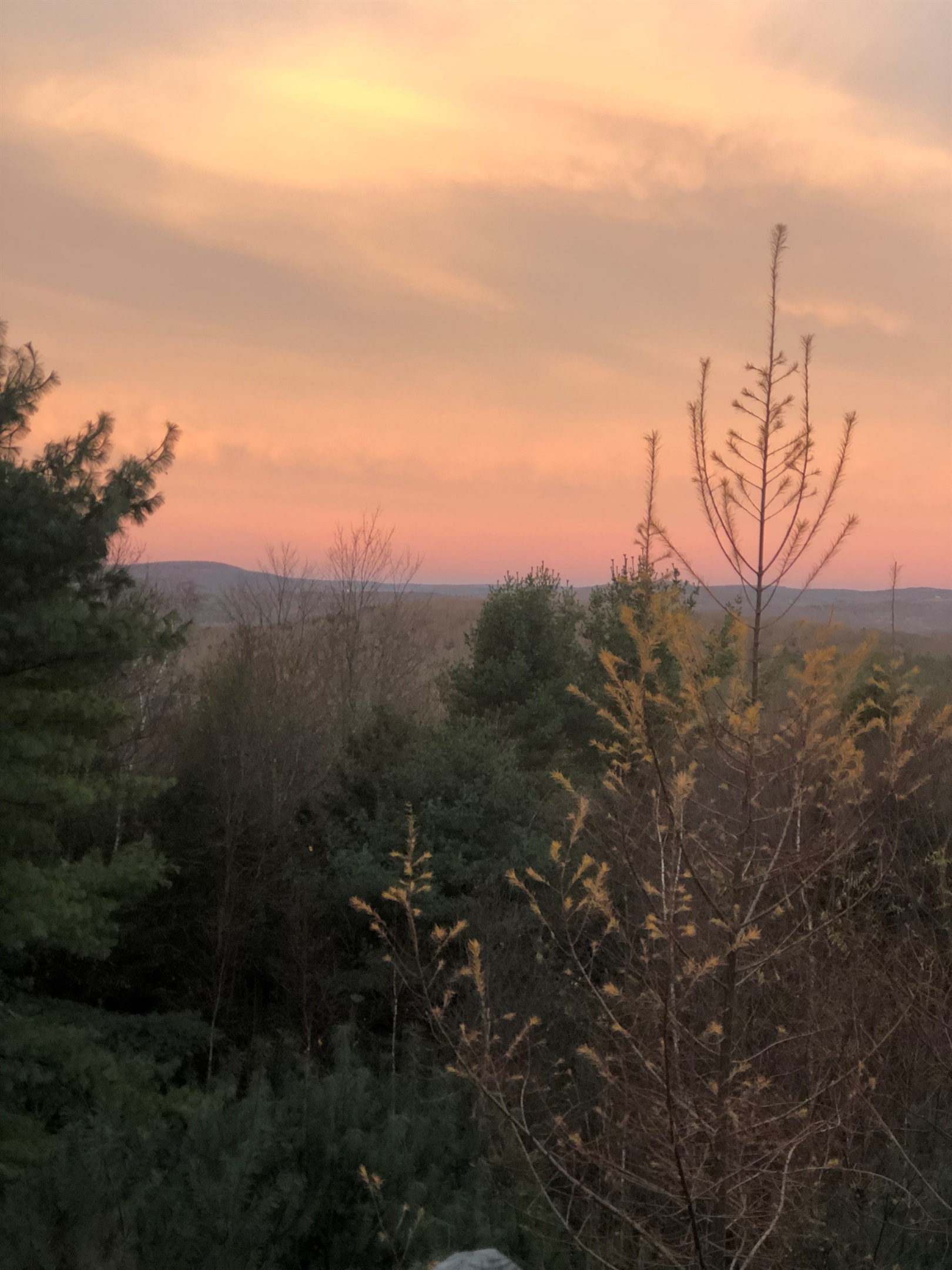 View from balcony