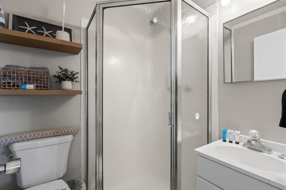 Master Ensuite Full Bath with Standing Shower