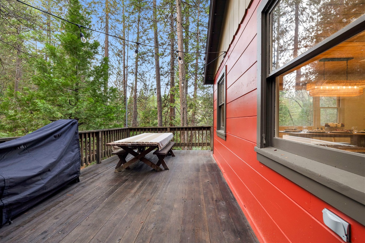 Large front deck with picnic table, cafe lights and firewood. The home also has fun LED lights in the eves for an extra vibe at night. 