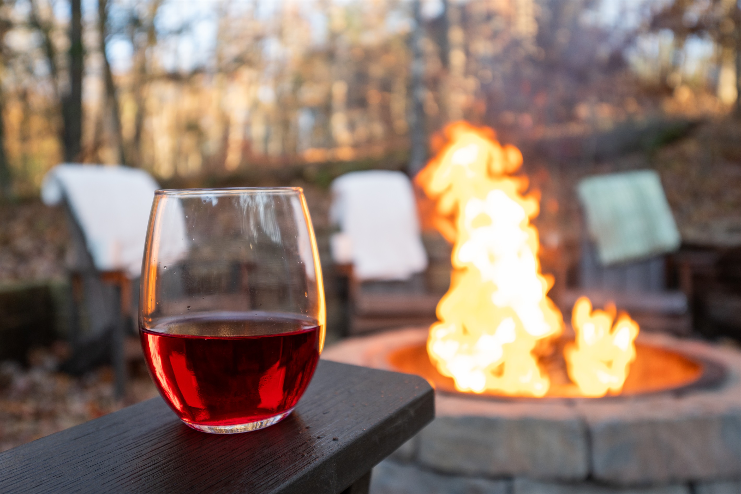 Cheers to family, friends & fireside stories!