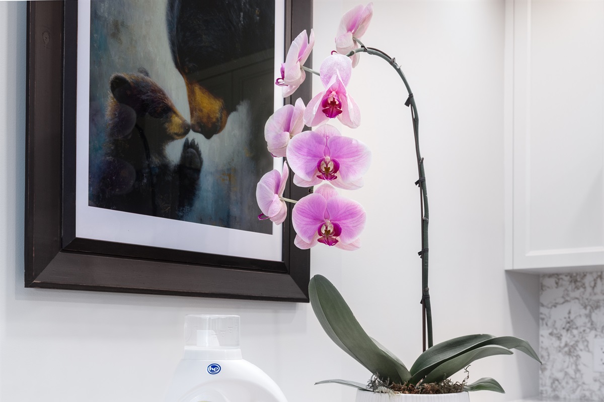 We supply Tide sensitive skin laundry soap and dryer sheets for our guests.
