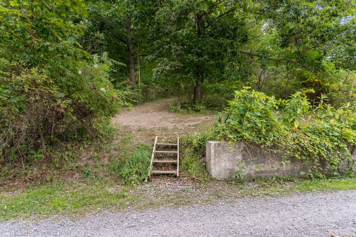 Stairs leading from the yard to the road where you access the lake