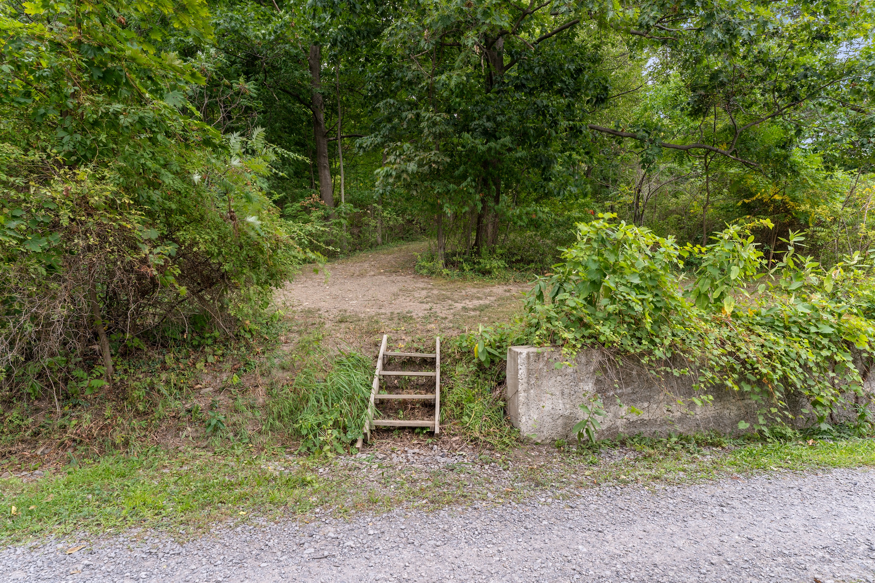 Stairs leading from the yard to the road where you access the lake