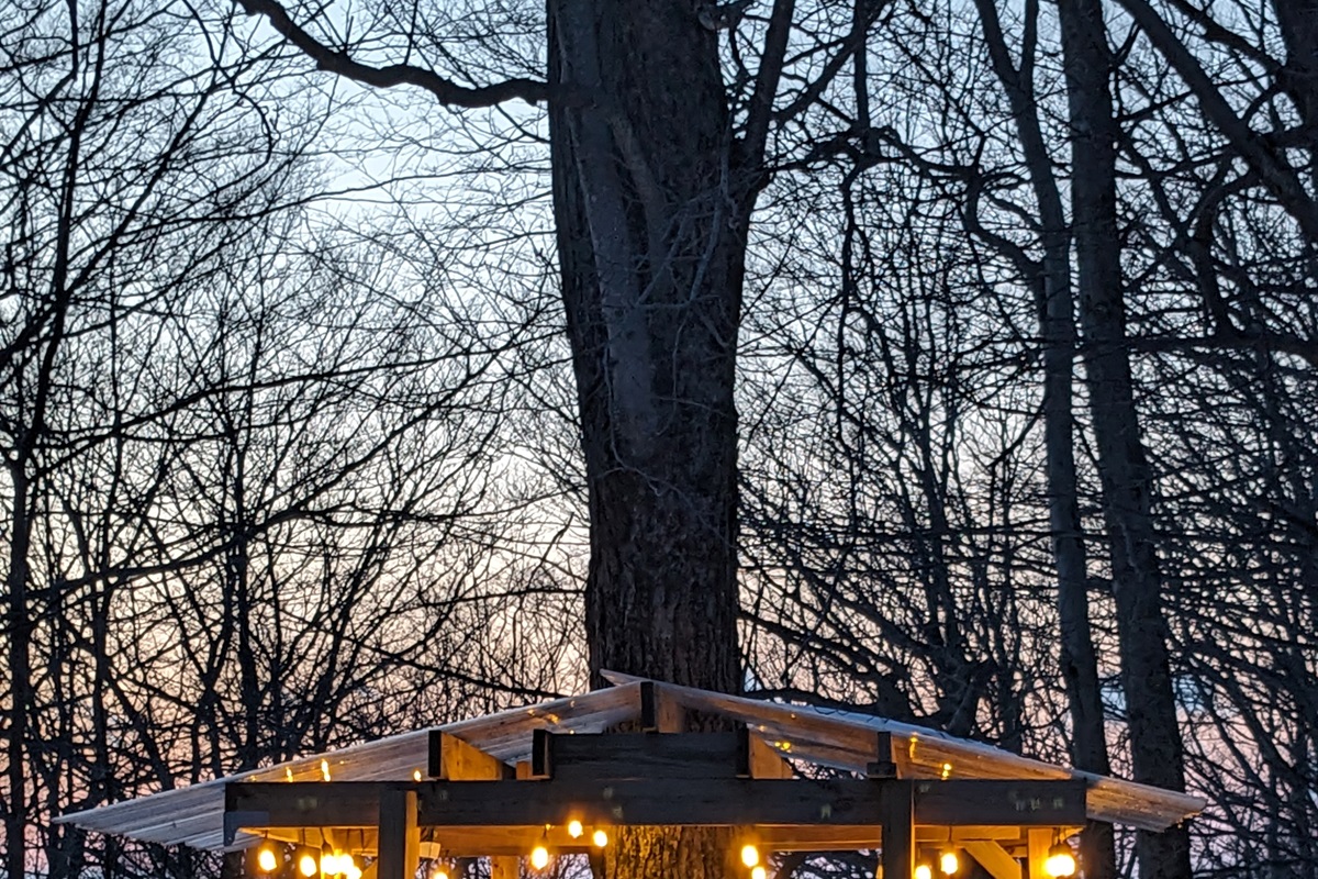 Treehouse deck evening view with string lights