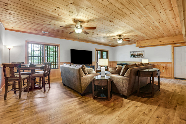 Basement Living Room