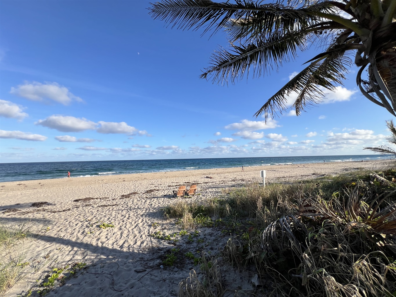 Gorgous PRIVATE beach only 1600' from the house! Photo date 12/9/2024