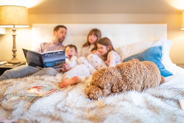 Enjoy a restful night on a luxurious king bed. We include pet-friendly throws for the bedding so your whole family-pups included-can relax together. 