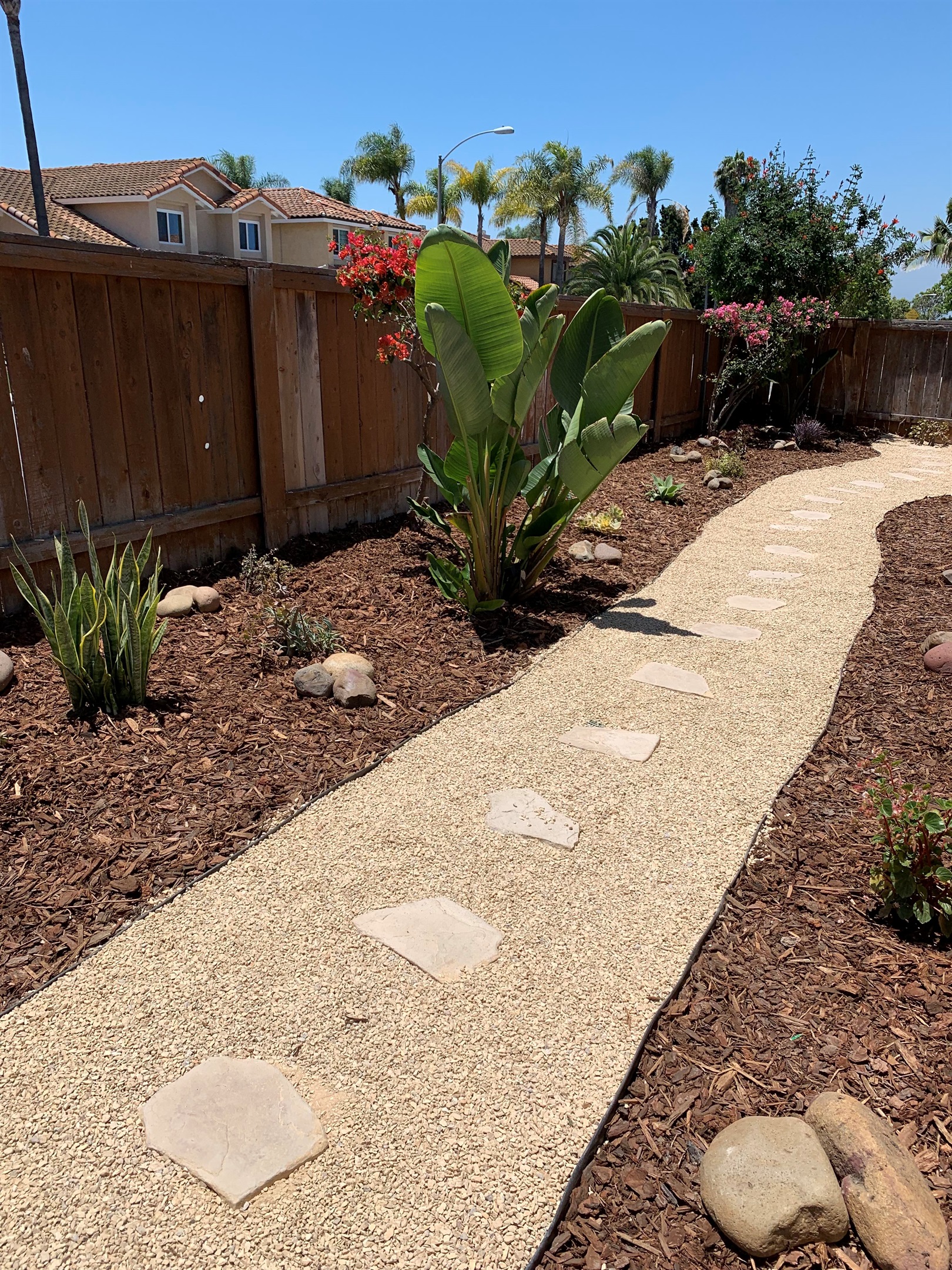 Rock Garden