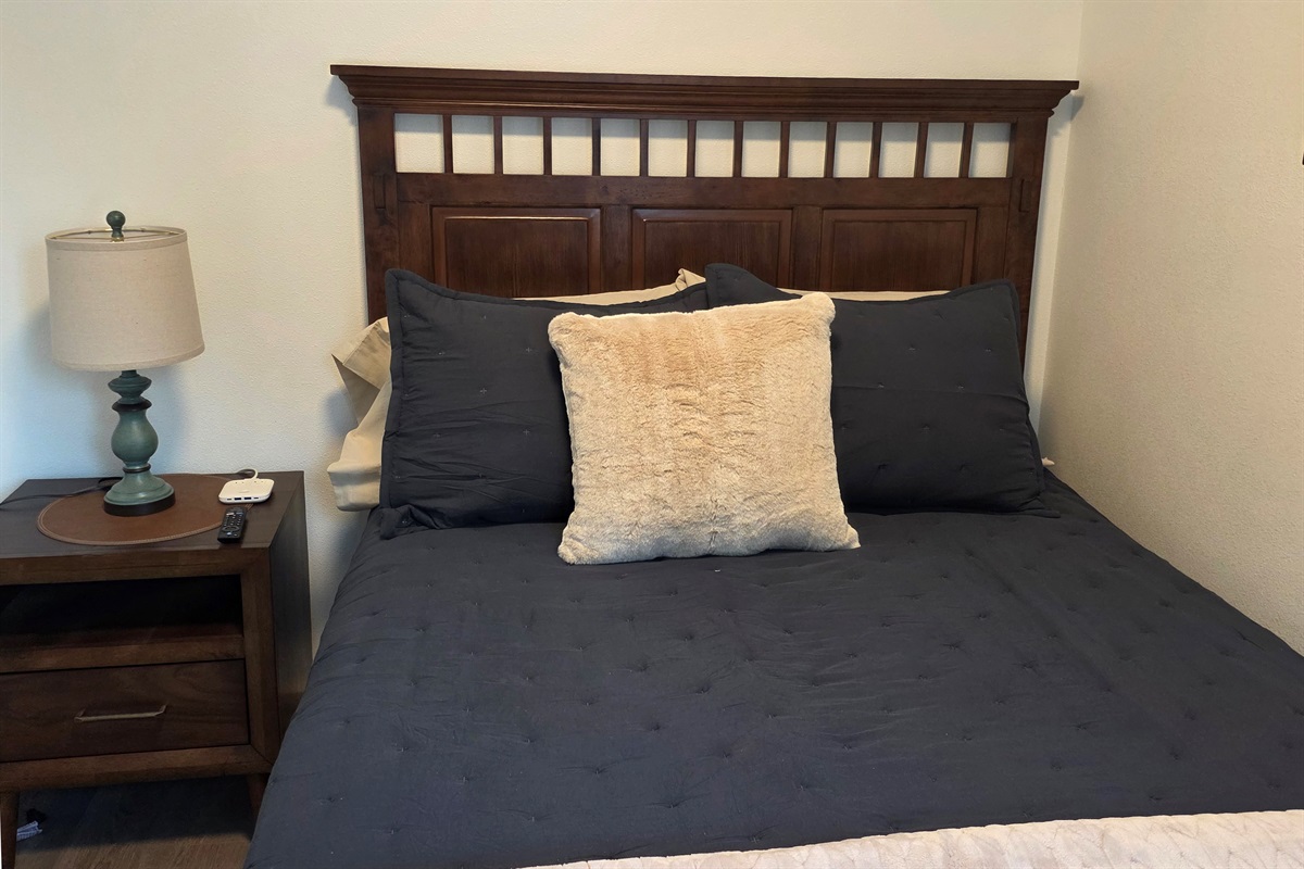 Bedroom on main floor includes a Queen Size Bed with night stand, closet space, chair and TV.