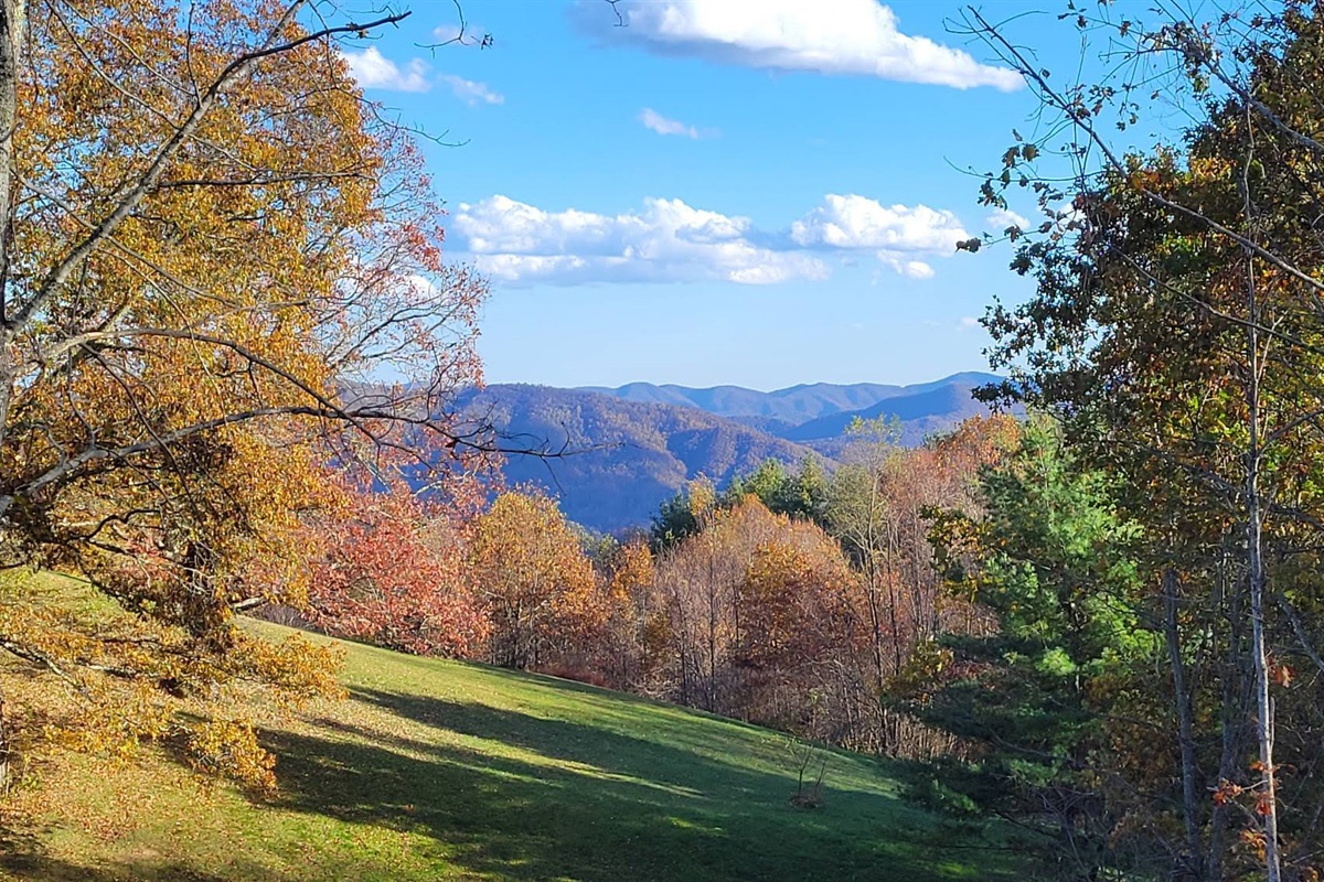 Fall view from the back deck