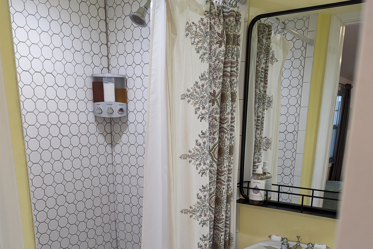 Shower Downstairs (Main house)