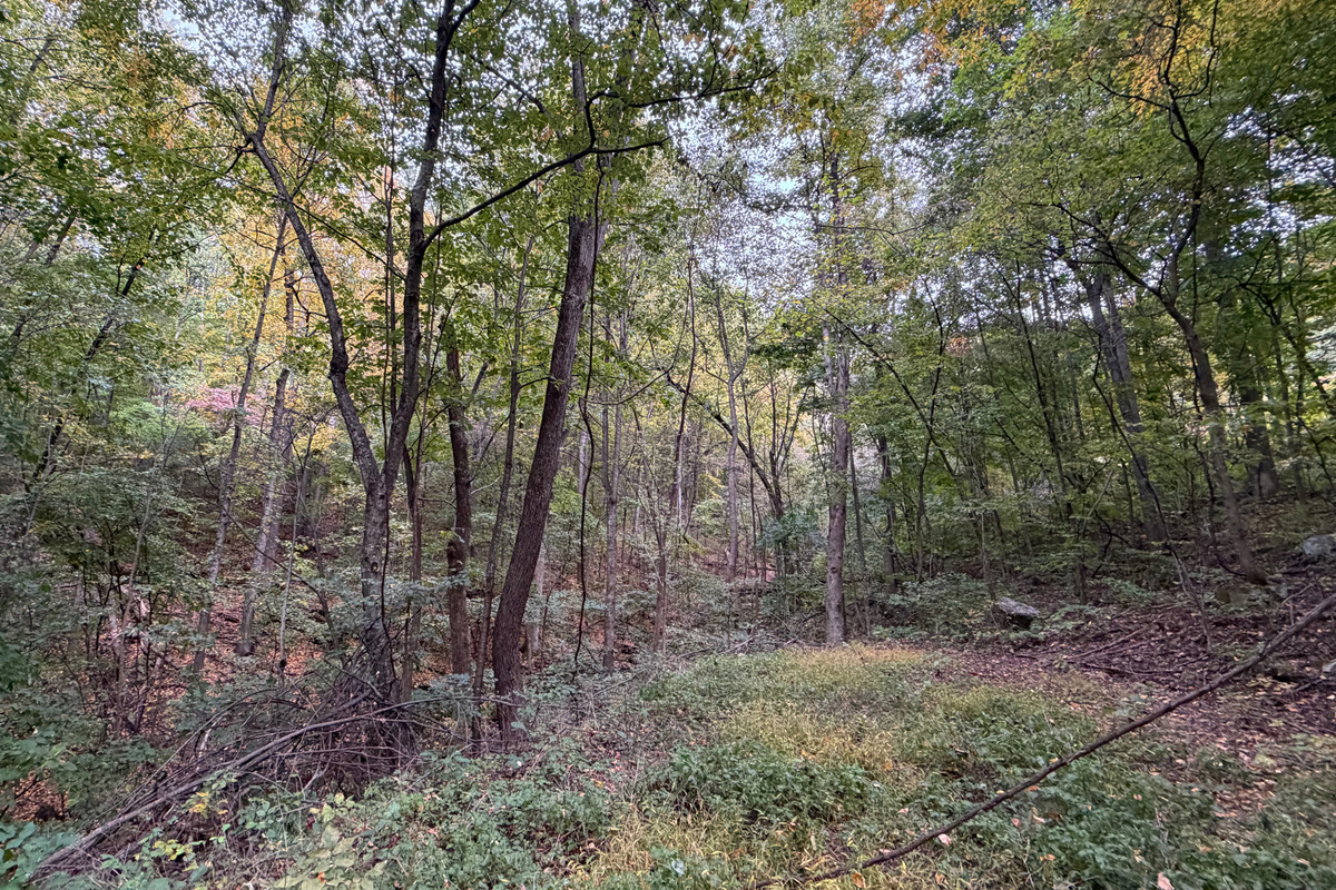 Numerous trails are on the 26 acre property, which you are free to use. We do have many wild animals to enjoy watching, but do take care and be safe. Read through the Guest Welcome Book about safety before you venture off.