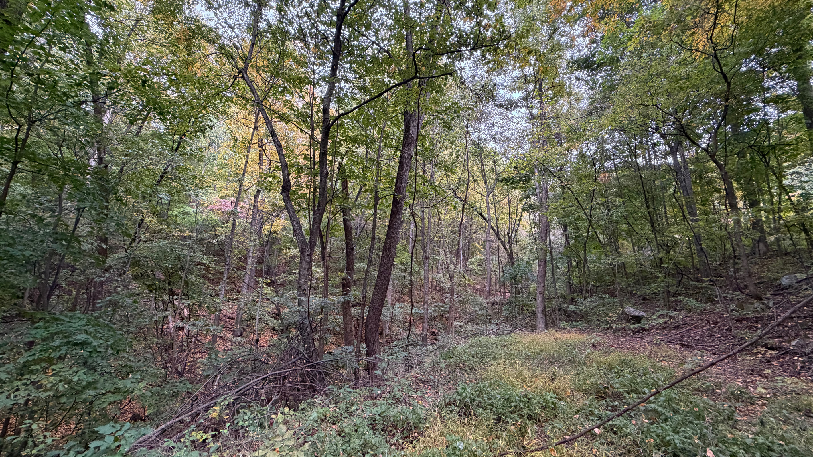 Numerous trails are on the 26 acre property, which you are free to use. We do have many wild animals to enjoy watching, but do take care and be safe. Read through the Guest Welcome Book about safety before you venture off.