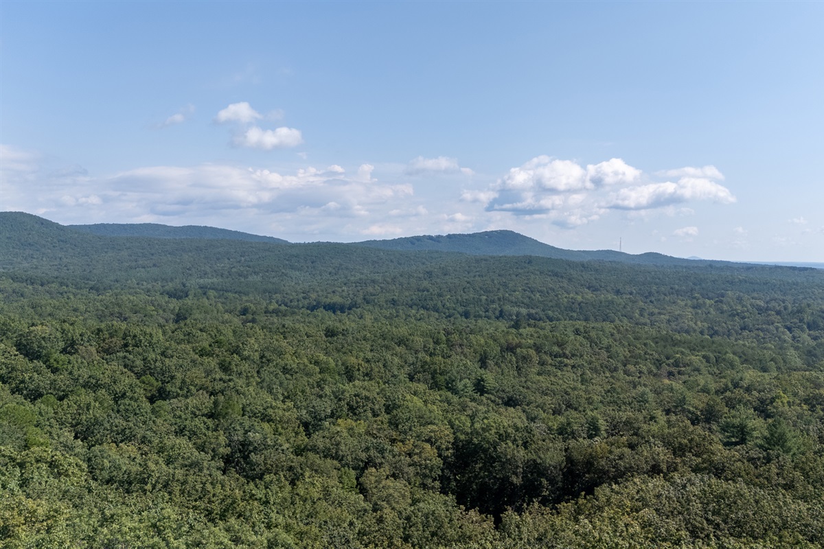 Drone view of Heart Ridge on 8 wooded acres with mountain scenery in the distance.