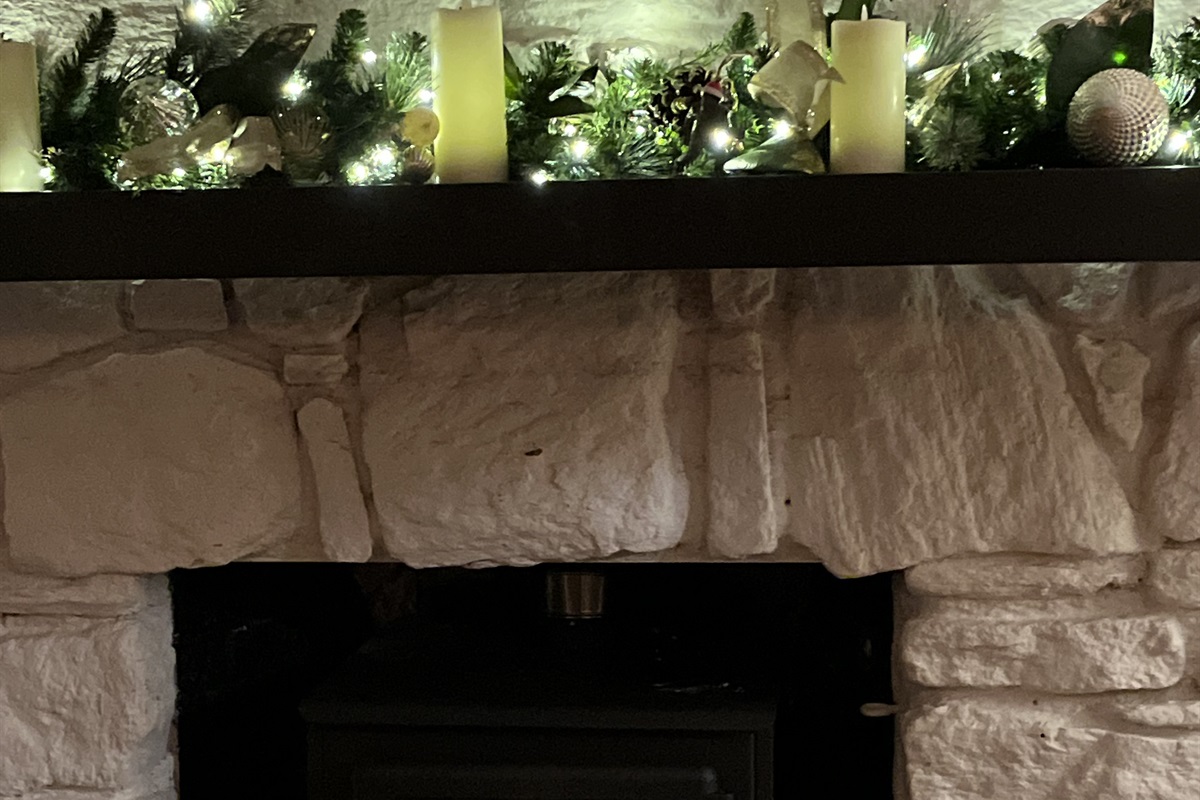 Living Room Fireplace - Firewood Provided