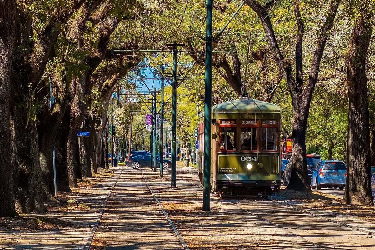 Street car tunneled by beautiful Oaks.