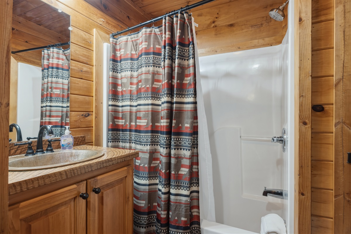 Bathtub/ Shower Combo