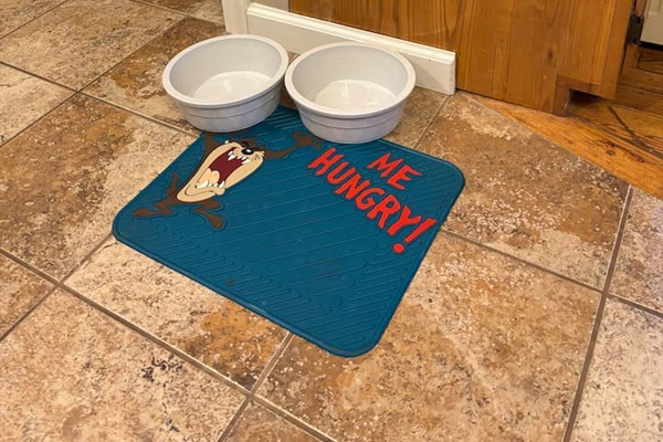 Provided water and food bowls for you cat or pup for convenience!