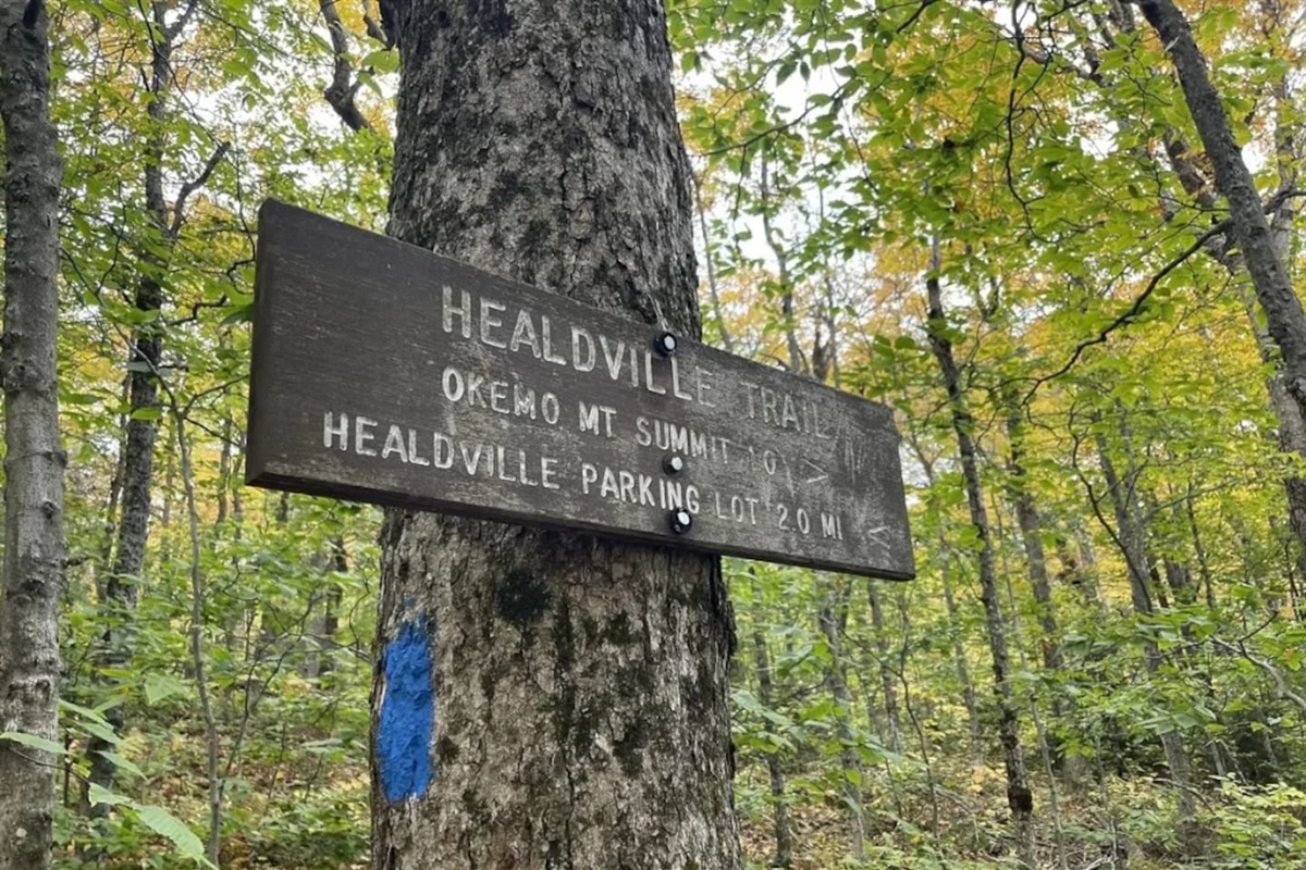 Healdville trail, an amazing trail in the summer and winter located 9 minutes away from the home! 