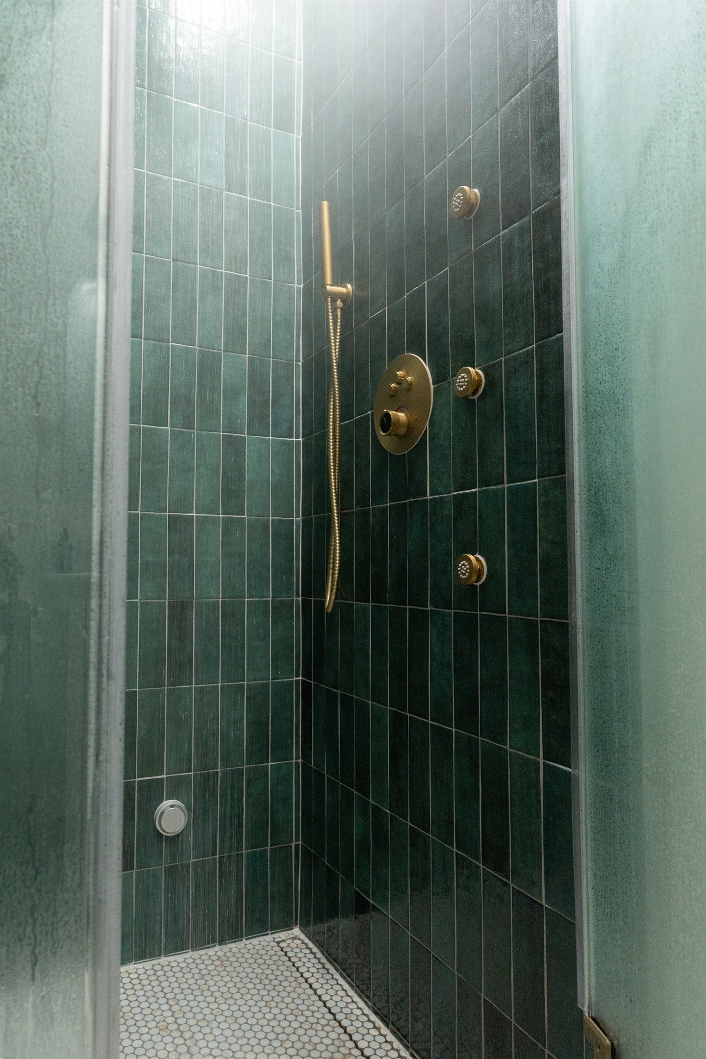 Master Bathroom Steam Shower