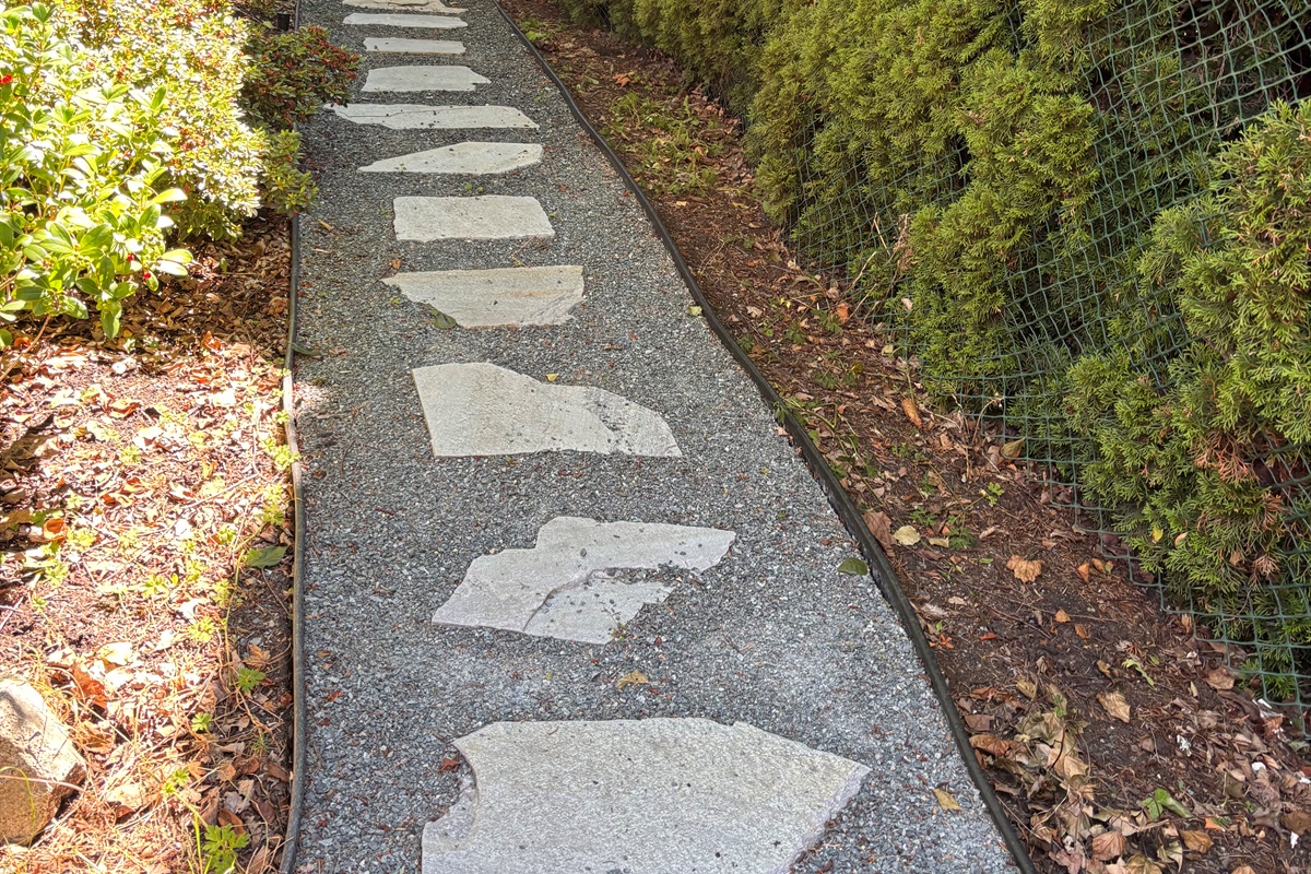 Tranquility path