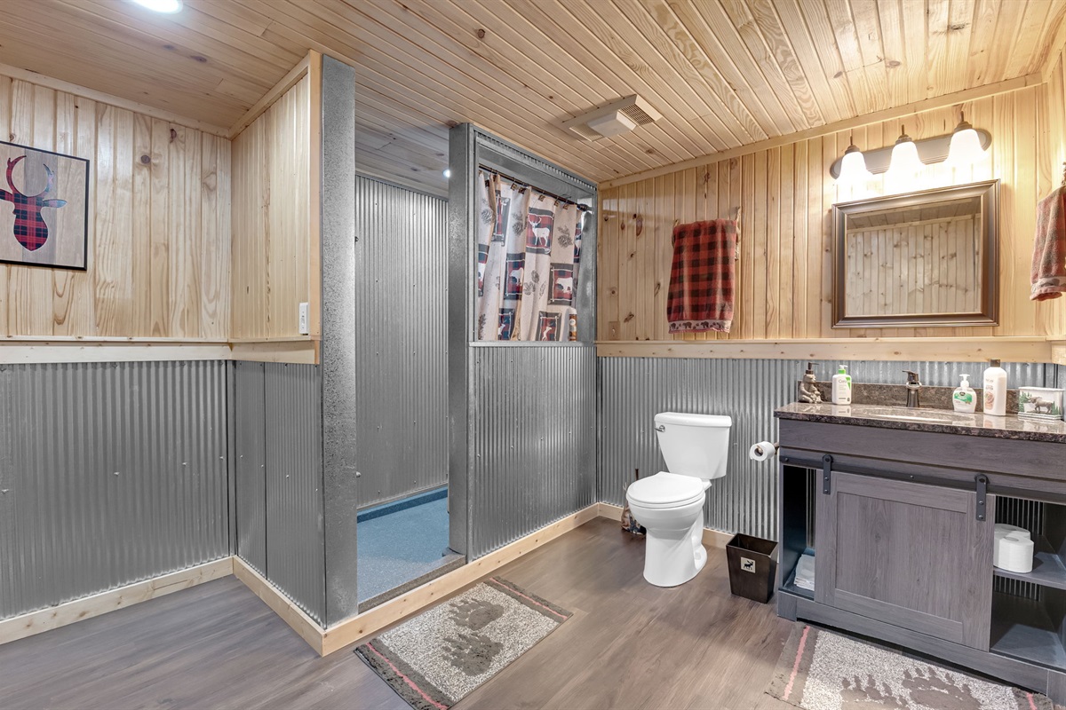 Lower Level Bathroom