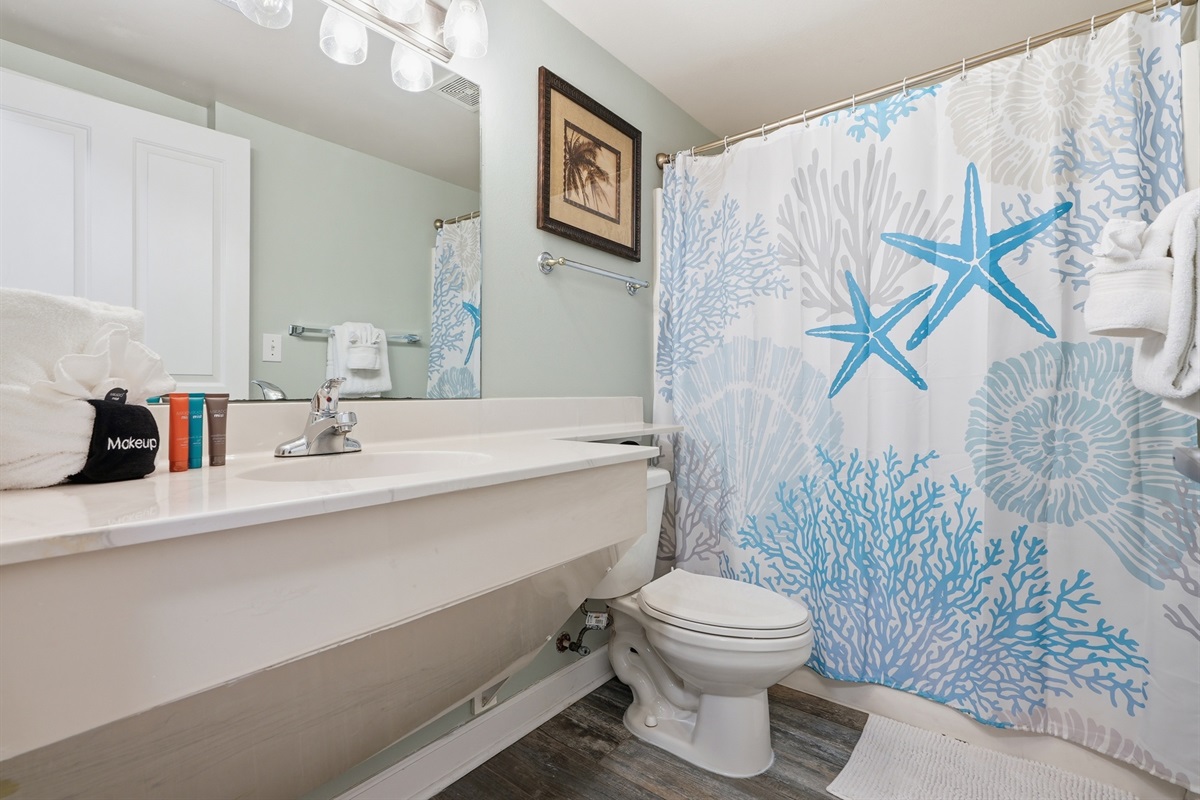 Middle Guest Bath