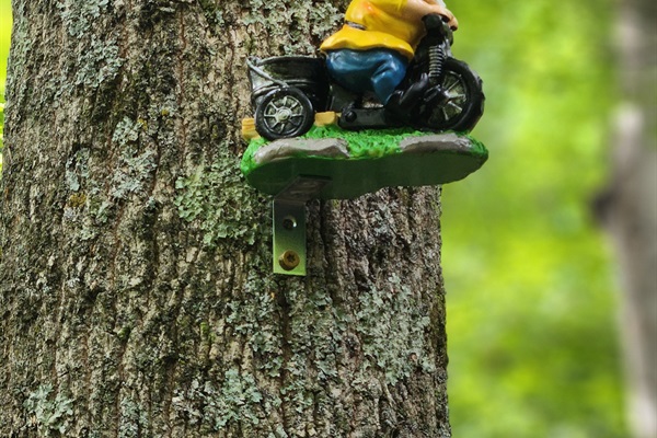 Keep an Eye Out — You Never Know Where a Gnome Might Be Hiding!