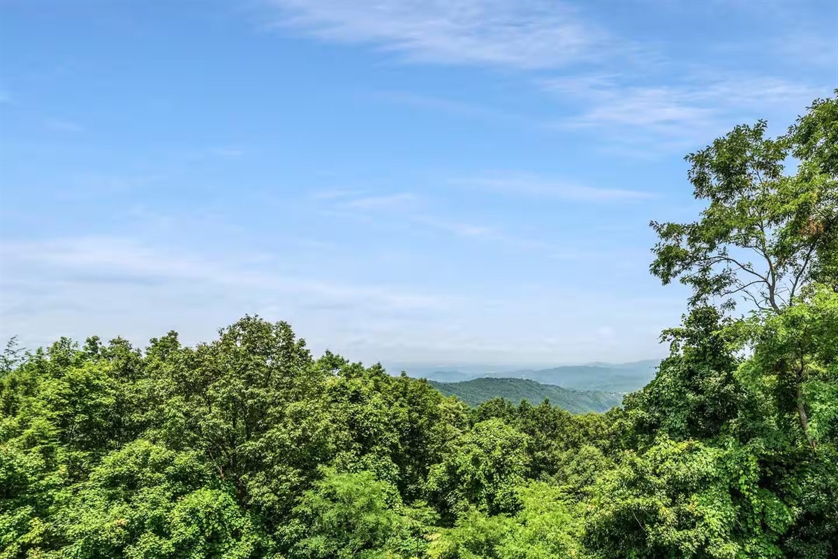 Smokey Mountain Views