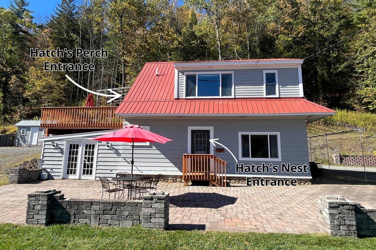 Lower level - The Nest, Upper level - The Perch