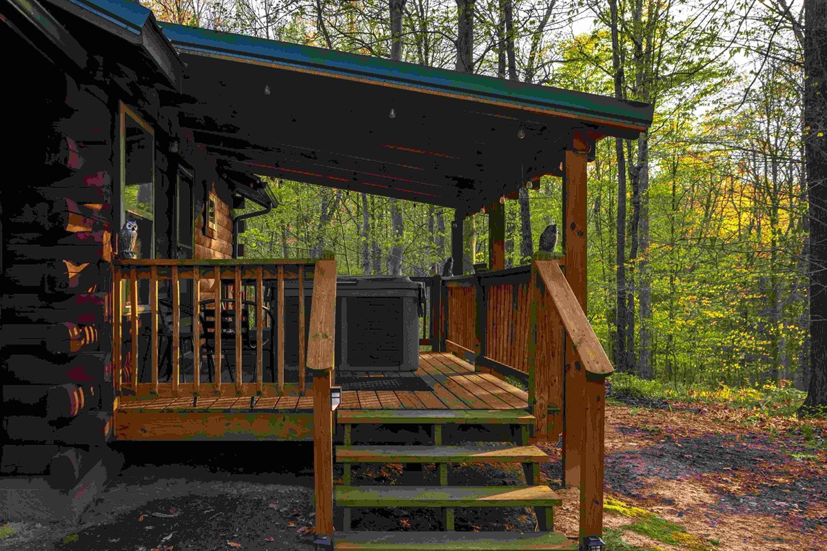 The back deck area includes the hot tub.
