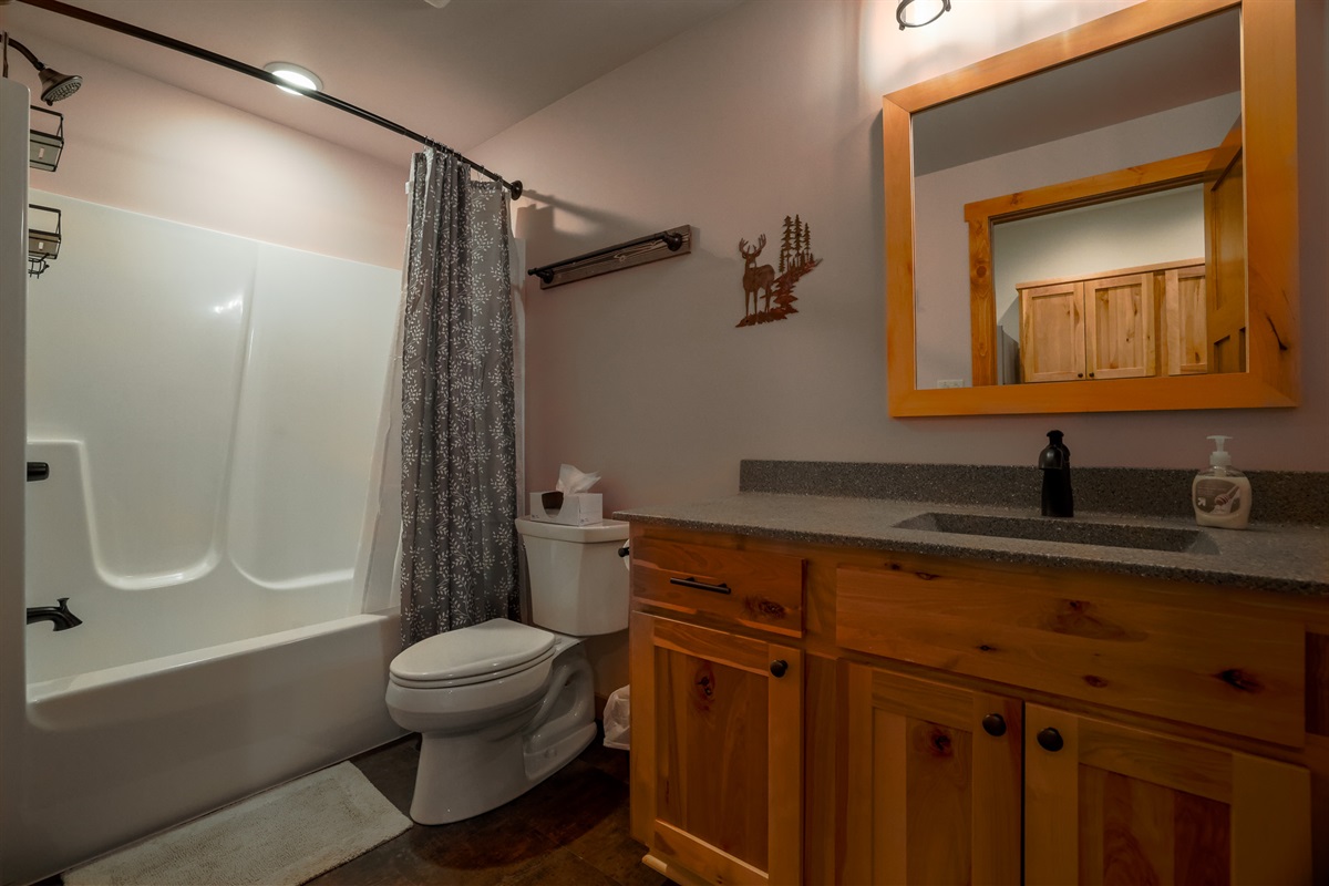 Lower Level Bathroom