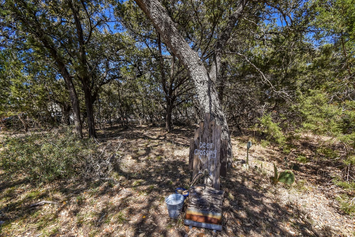 Feed the neighboring Deer