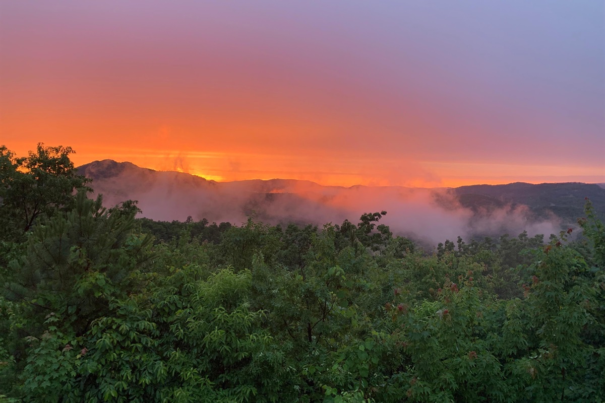 Nathan B., Jun 25, 2025