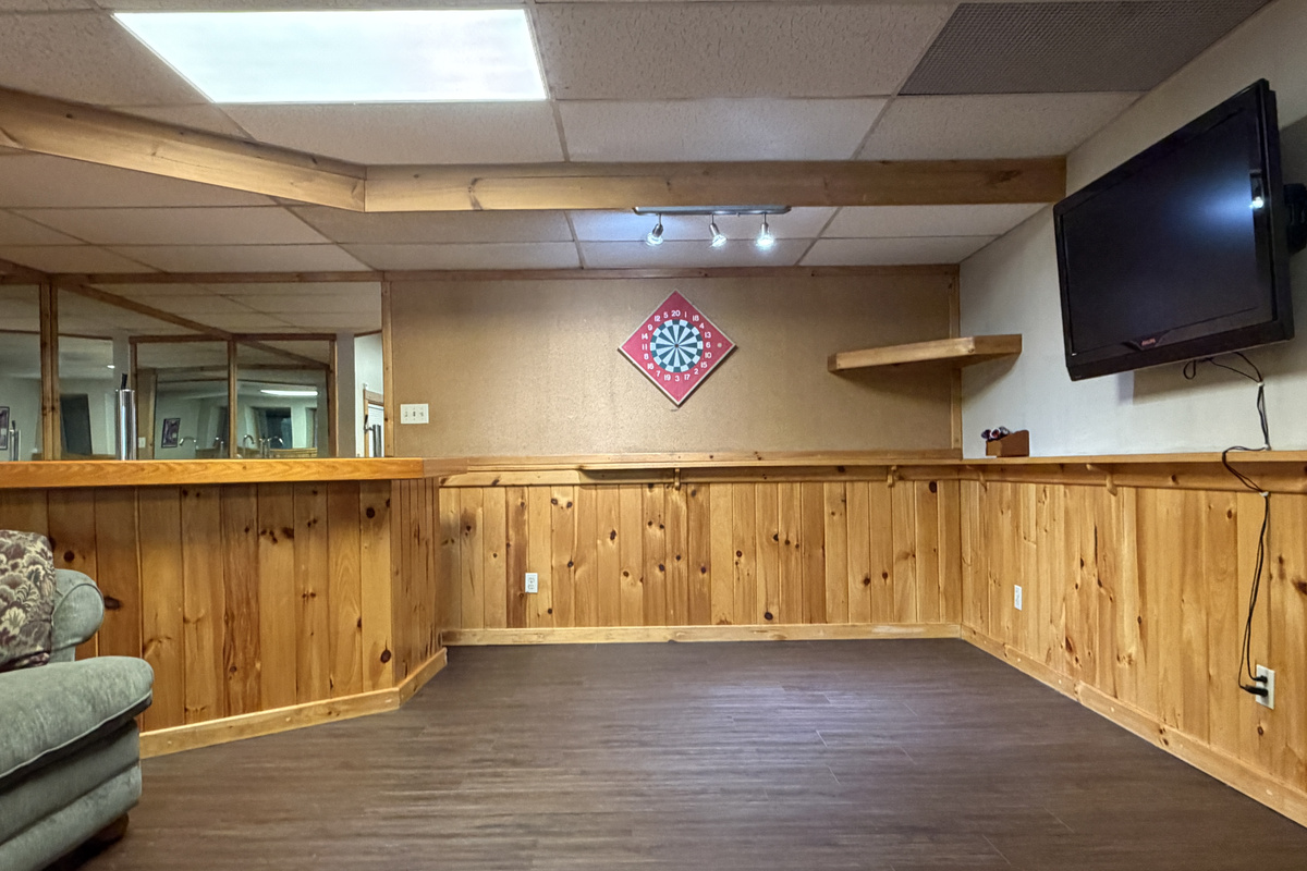 Lower Level game room with dartboard