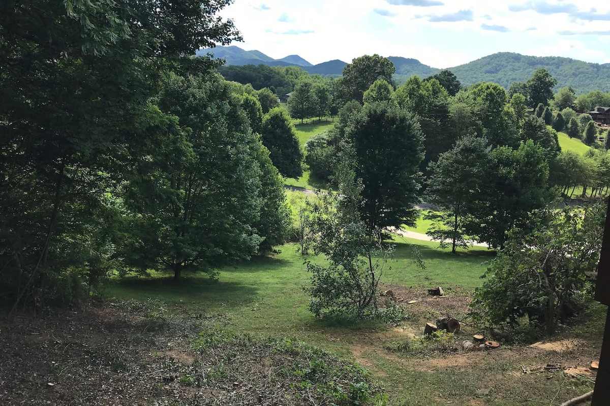 back yard from the deck