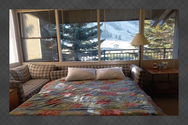 Full-size sofa bed. There is also a Full-size bed in the loft area.