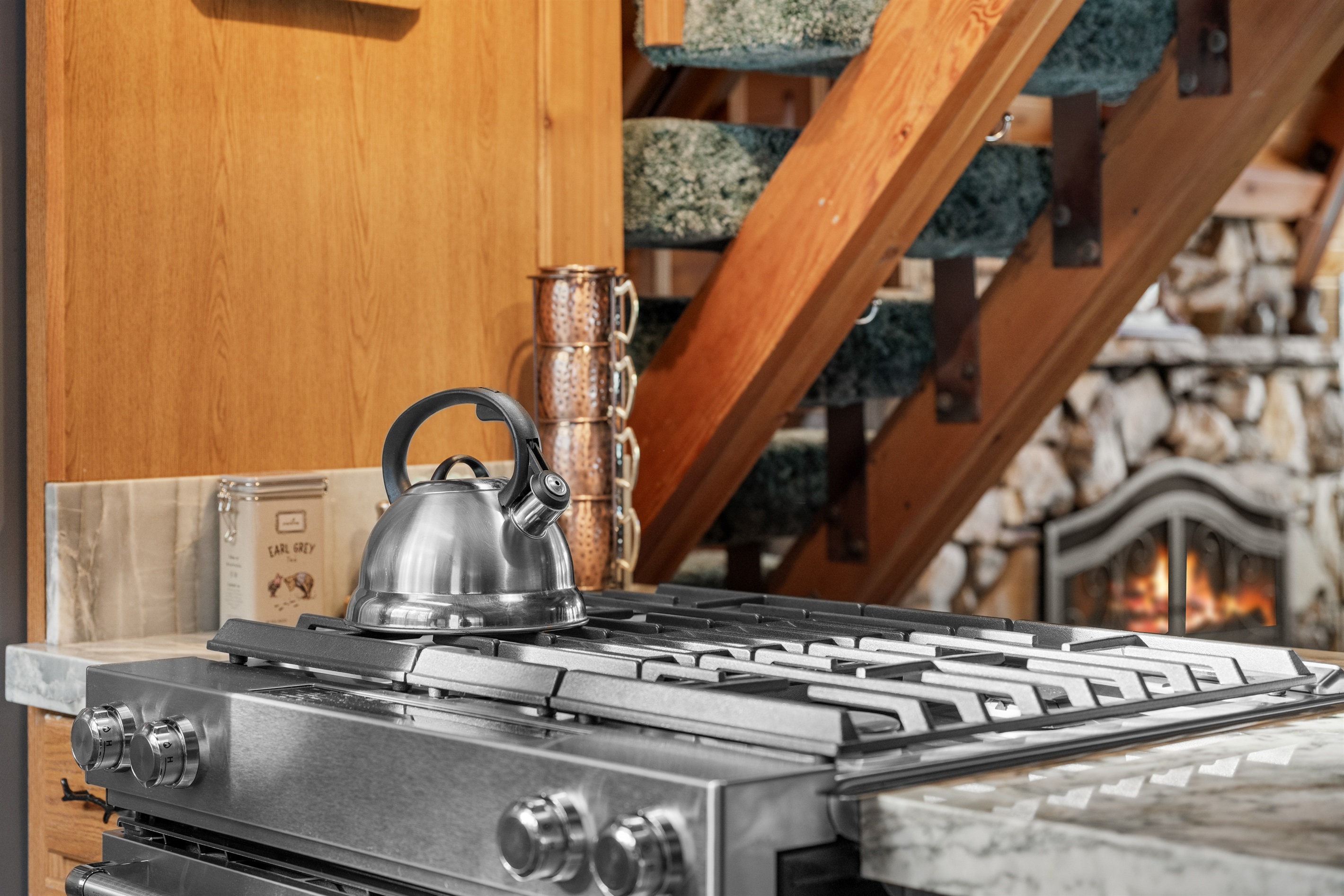 Gas range with downdraft vent