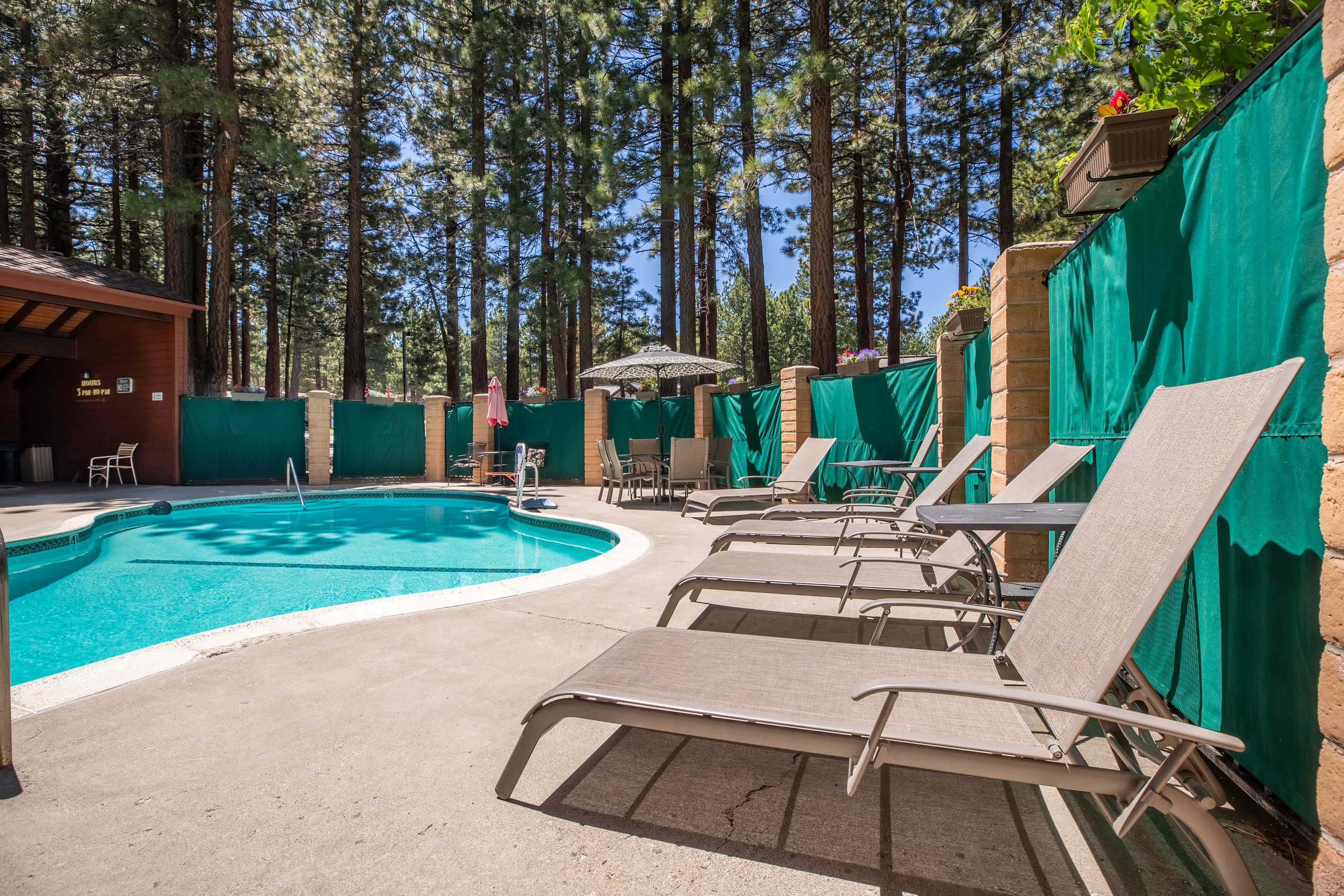 Poolside lounging among the pines.