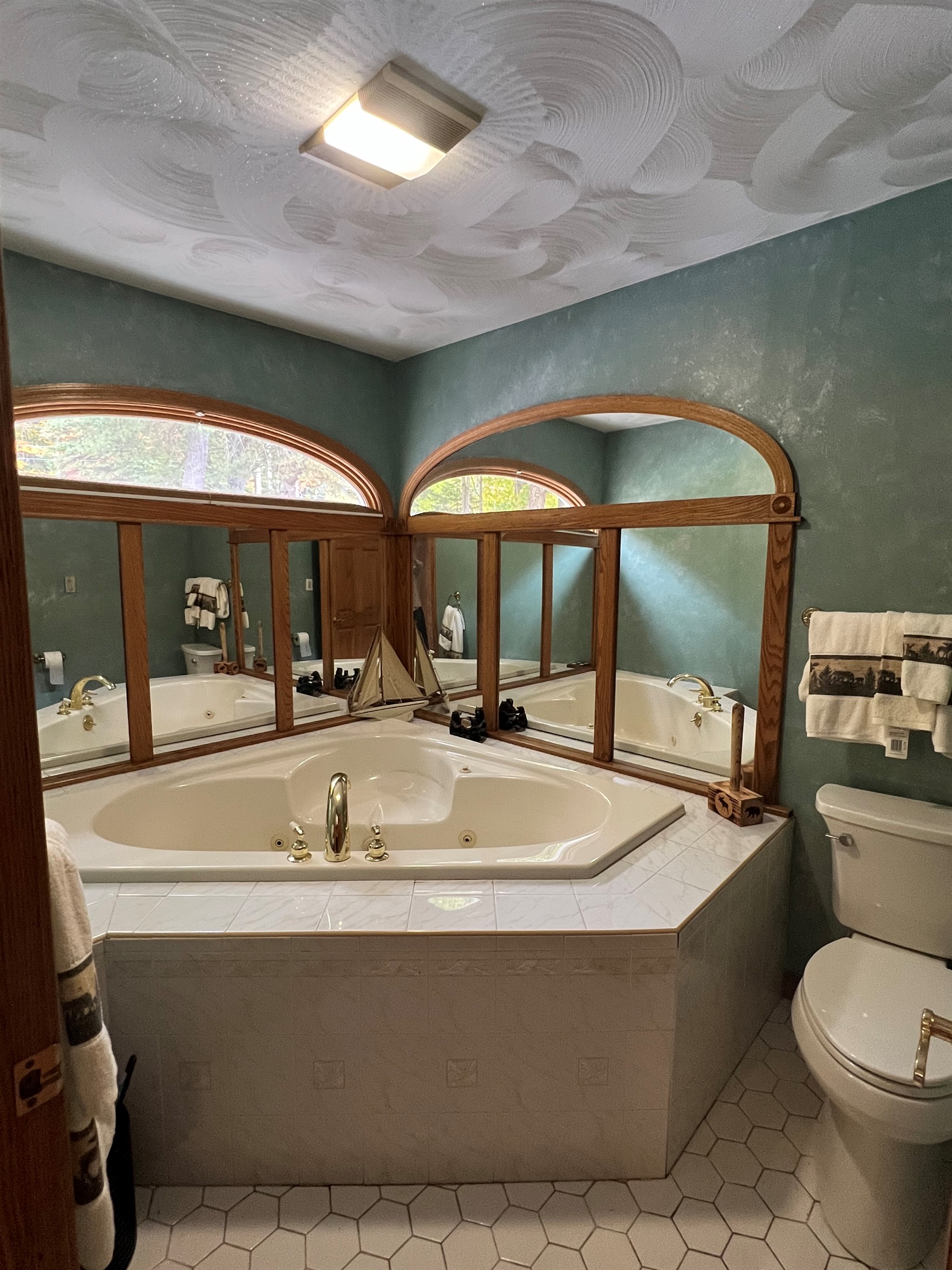 Master jacuzzi tub