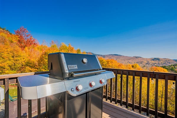 Our patio grill is ready for your next cookout!