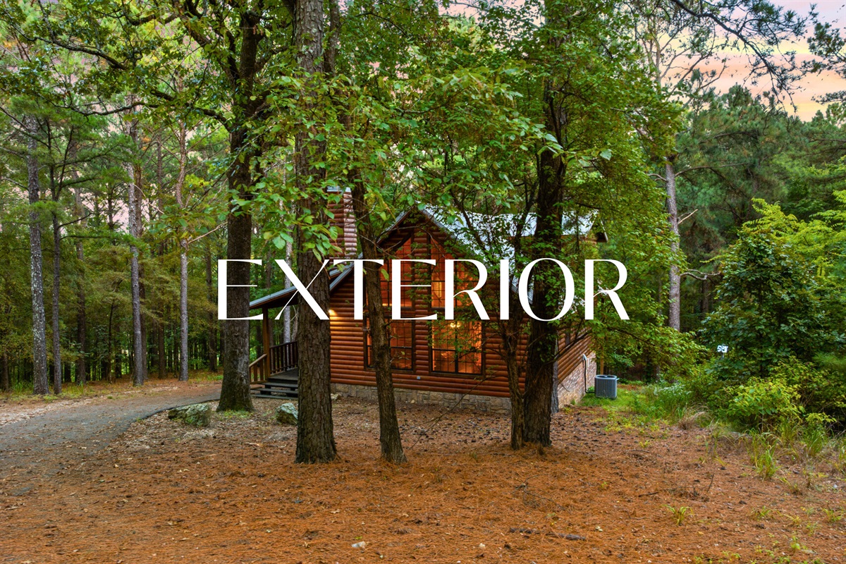 Exterior view of the cabin nestled among tall trees.