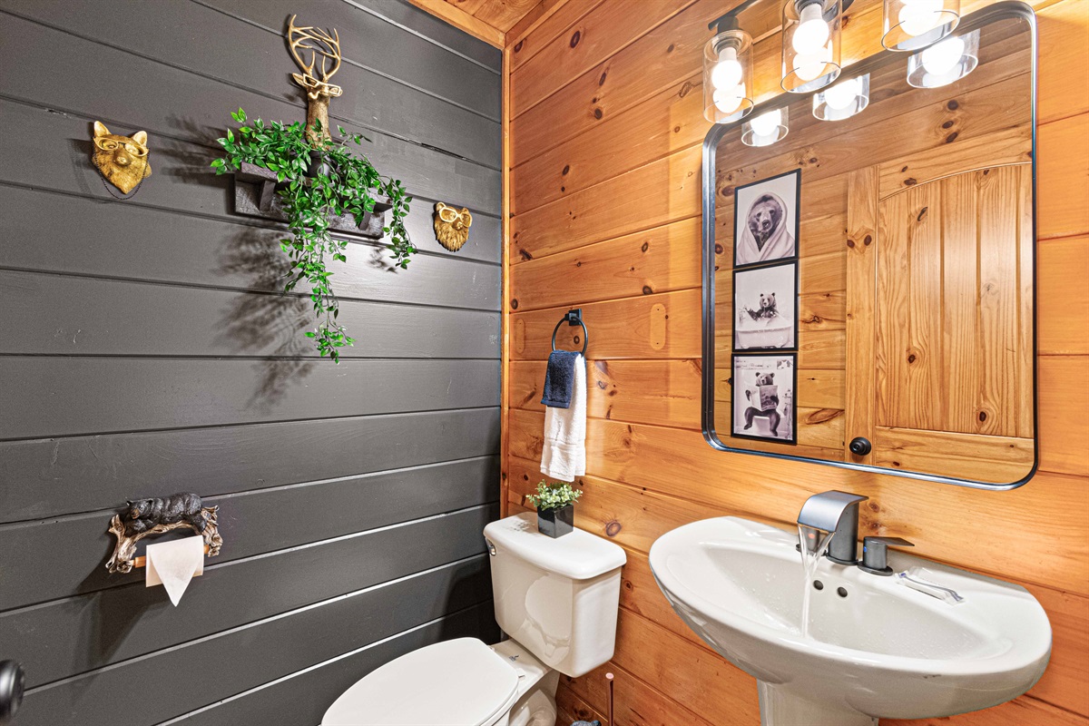 Main floor bathroom. It's much cuter in person