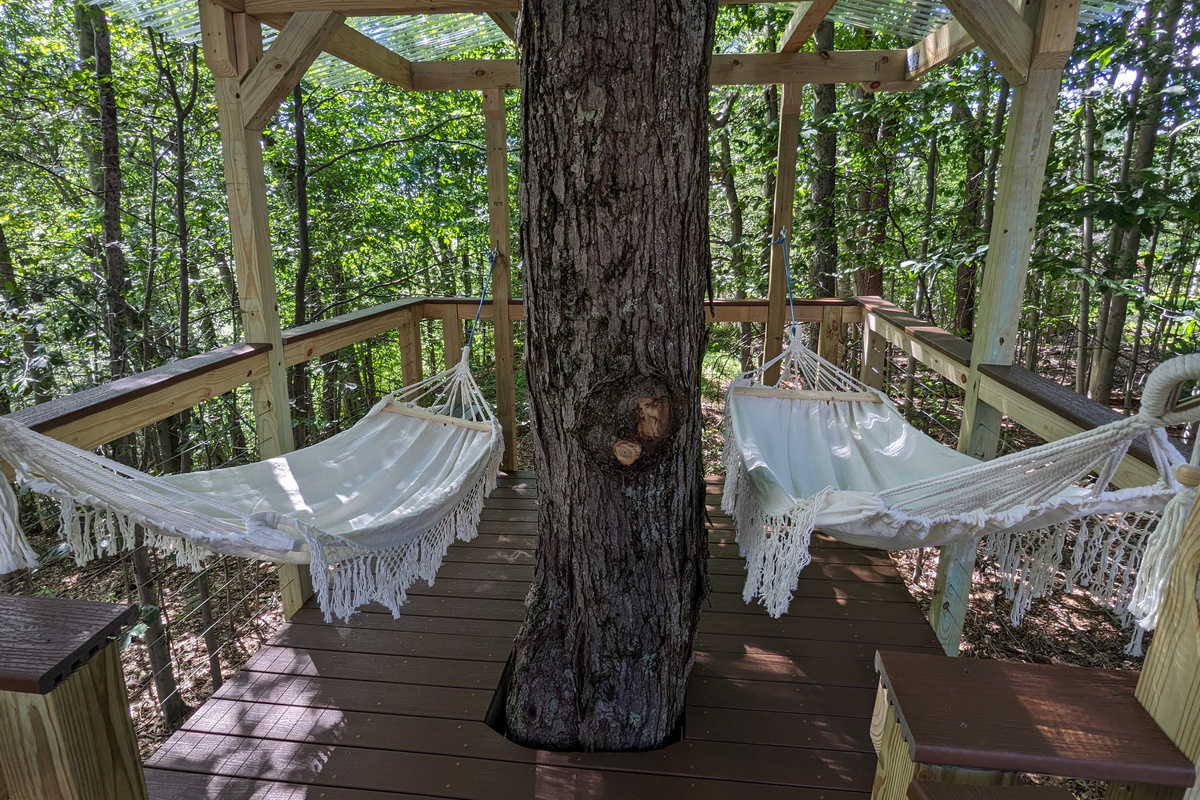 Cozy hammocks in Treehouse with clear roofing