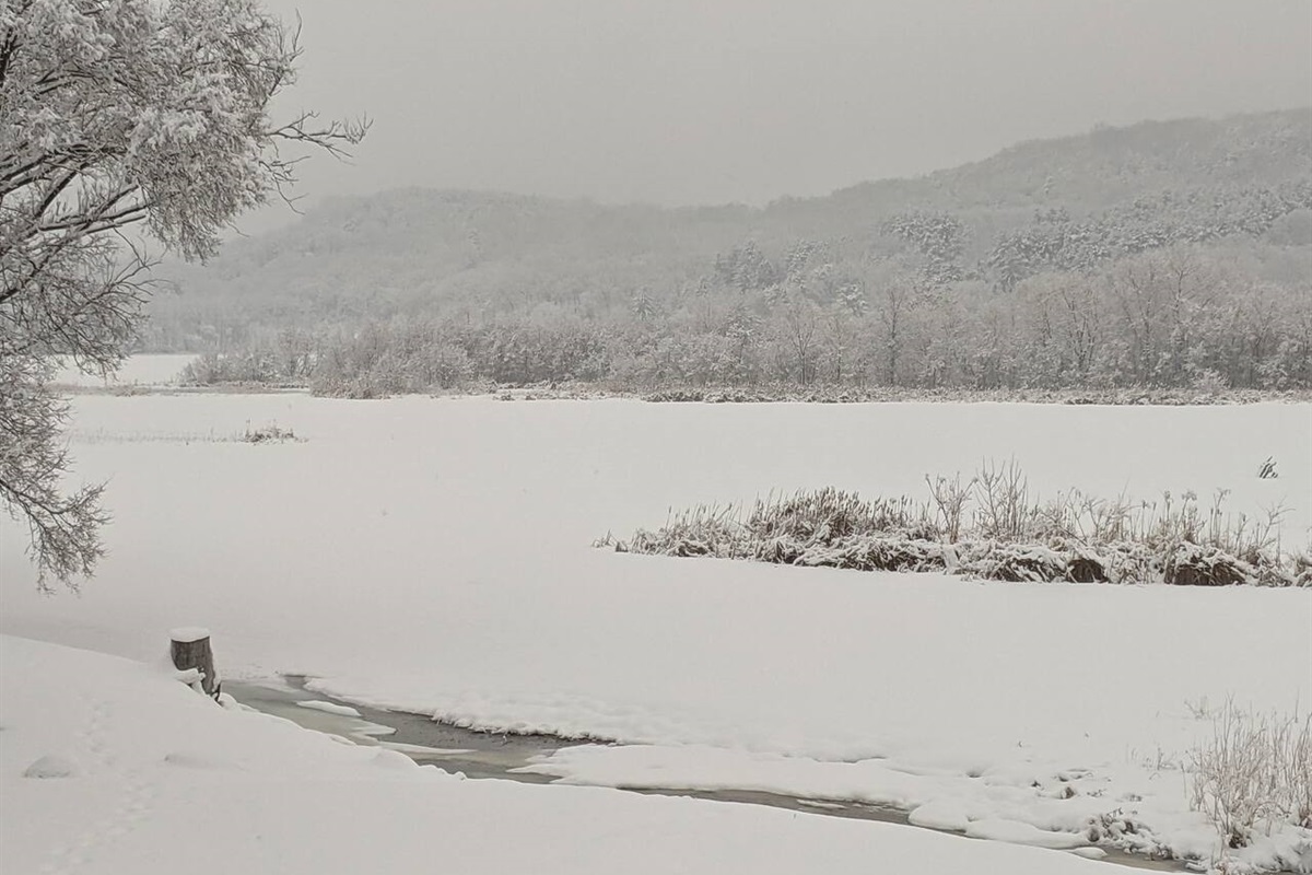 winter views from living room