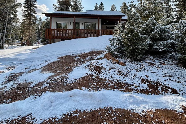 The cabin is set back from the street and surround by forest