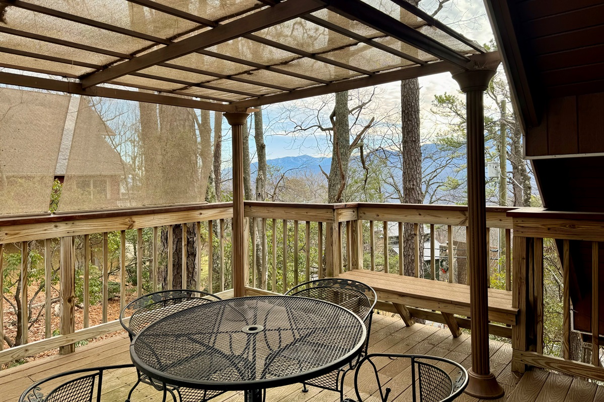 WINTER BONUS ROOM DECK VIEW