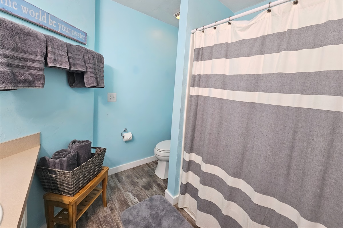 Shower/Tub in Master Bath